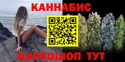 меф Гатчина